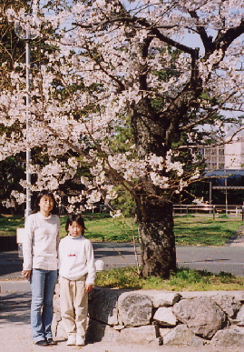 2005.4.9.sakura3.jpg (102647 oCg)
