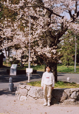 2005.4.9.sakura4.jpg (102380 oCg)