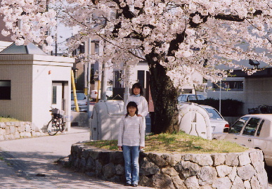 2005.4.9.sakura5.jpg (87476 oCg)