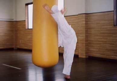 2005.5.15.moe4.jpg (38327 バイト)