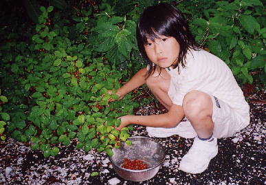 2005.6.2.moe2.jpg (95198 バイト)