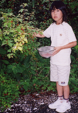2005.6.2.moe3.jpg (94692 バイト)
