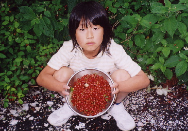 2005.6.2.moe4.jpg (87082 バイト)