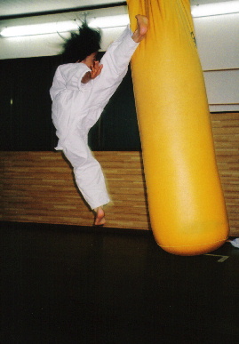 2005.6.24.moe_karate1.jpg (42495 バイト)
