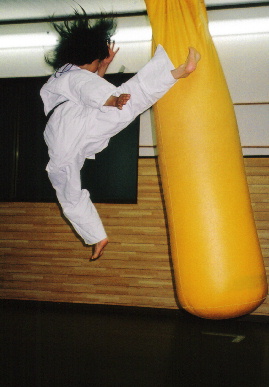 2005.6.24.moe_karate2.jpg (46897 バイト)