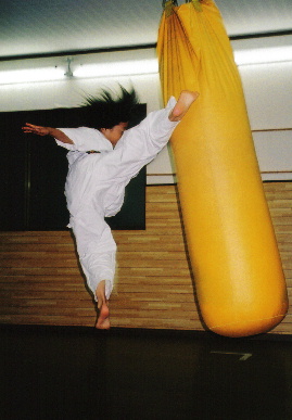 2005.6.24.moe_karate3.jpg (46620 バイト)