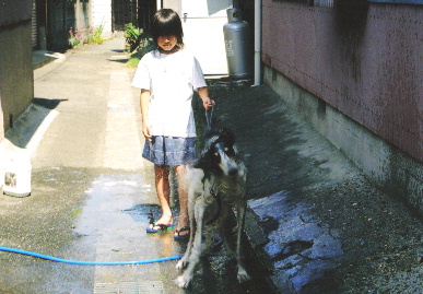 2005.6.5.tanuki5.jpg (64107 oCg)
