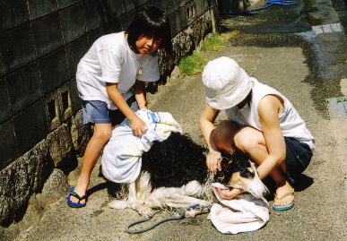 2005.6.5.tanuki7.jpg (83789 oCg)