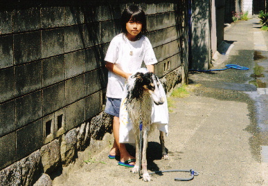 2005.6.5.tanuki8.jpg (80262 oCg)