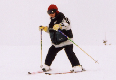 2006.2.20.moe3.jpg (31812 バイト)