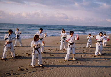 2006.2.5.moe8 (66634 バイト)