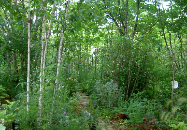 2006.5.20.hadano9.jpg (107658 oCg)