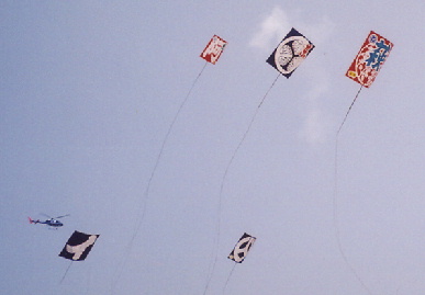 2006.5.3.tako19.jpg (29443 oCg)