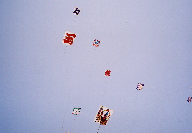 2006.5.3.tako22.jpg (29625 oCg)