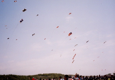 2006.5.3.tako24.jpg (34428 oCg)