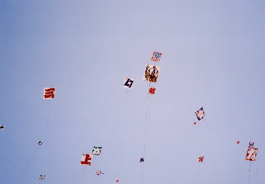 2006.5.3.tako25.jpg (30715 oCg)