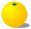 grapefruit.gif (1301 oCg)