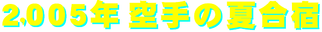 2005gassyuku-logo.gif (5287 �o�C�g)