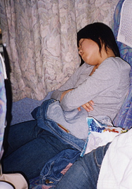2003.5.24.25seishikaikan_traver56.jpg (56879 バイト)