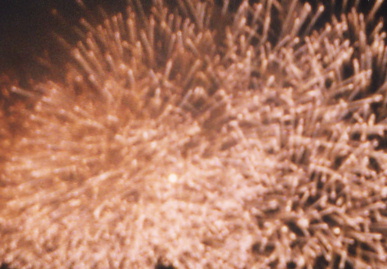 2003.7.26.gifu14.jpg (56705 �o�C�g)