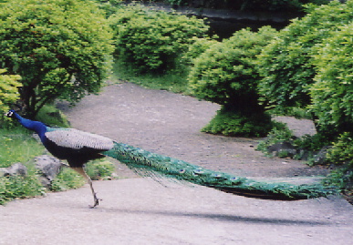 2004.5.30.ryokou3.jpg (77697 �o�C�g)